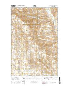 FLYNN CREEK NORTH, MT