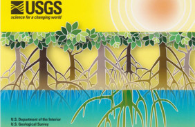 MANGROVE ECOSYSTEMS PROTECT (POSTCARD)