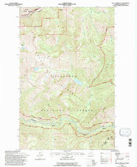MOUNT BRADLEY, MT HISTORICAL MAP GEOPDF