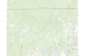 MALLORY SWAMP SE, FL