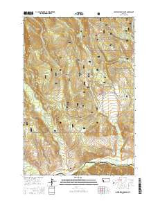 LOWER SEYMOUR LAKE, MT