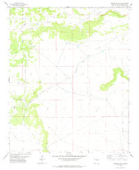 GEORGE RANCH, NM HISTORICAL MAP GEOPDF 7