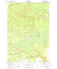 RACO, MI HISTORICAL MAP GEOPDF 7.5X7.5 G