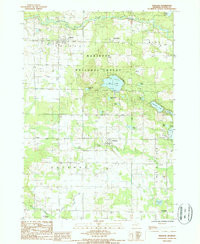 FREE SOIL, MI HISTORICAL MAP GEOPDF 7.5X