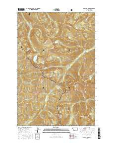 STRAIGHT PEAK, MT-ID