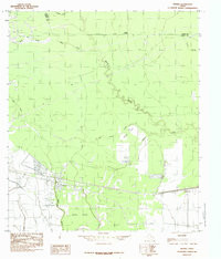 DEVERS, TX HISTORICAL MAP GEOPDF 7.5X7.5