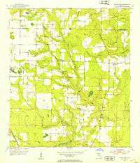 ALTHA EAST, FL HISTORICAL MAP GEOPDF 7.5