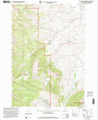 MEDICINE LODGE PEAK, MT HISTORICAL MAP G