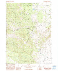 MOUNT BIDWELL, CA-OR HISTORICAL MAP GEOP