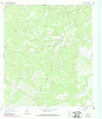 Y O RANCH, TX HISTORICAL MAP GEOPDF 7.5X