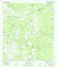 PIEDRA CREEK SE, TX HISTORICAL MAP GEOPD