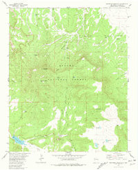 ESCONDIDO MOUNTAIN, NM HISTORICAL MAP GE