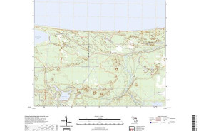 MUSKALLONGE LAKE EAST, MI