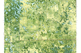 CROWS NEST HAMMOCK, FL