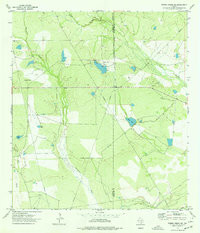 PIEDRA CREEK NE, TX HISTORICAL MAP GEOPD
