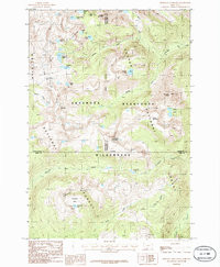 PINNACLE MOUNTAIN, MT HISTORICAL MAP GEO