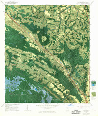 FORT MUDGE, GA HISTORICAL MAP GEOPDF 7.5