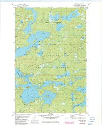 FARM LAKE, MN HISTORICAL MAP GEOPDF 7.5X